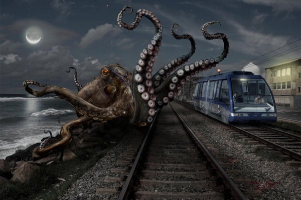 Kraken 24 top
