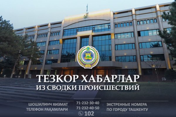 Даркнет вход