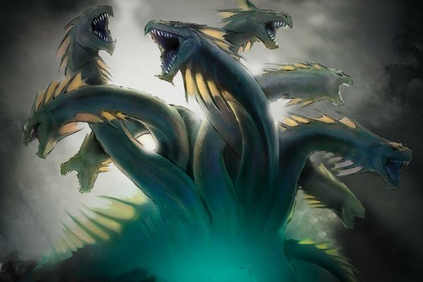 Kraken 24at