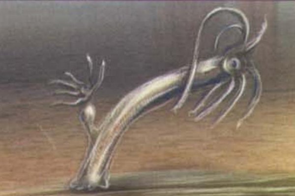 Кракен сайт at