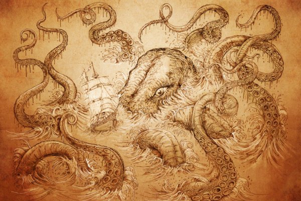Kraken 20at net