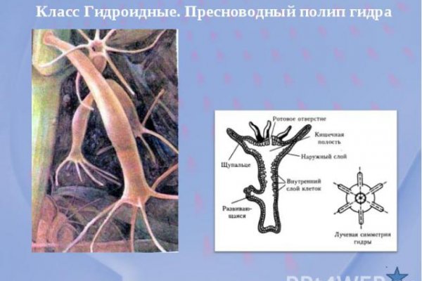 Kraken ссылка на сайт актуальная