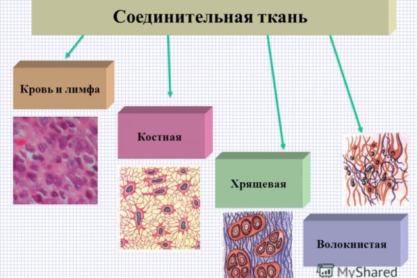 Gidra магазин
