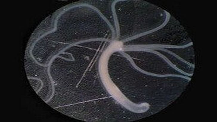 Kraken актуальный сайт