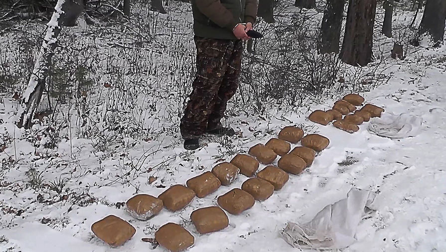 Кракен сайт что будет если зайти
